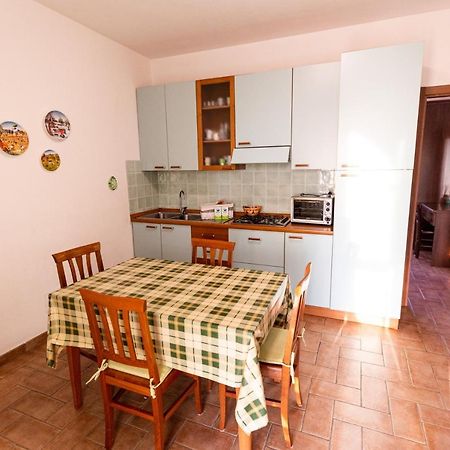 Agriturismo San Filippo Campagnatico Dış mekan fotoğraf